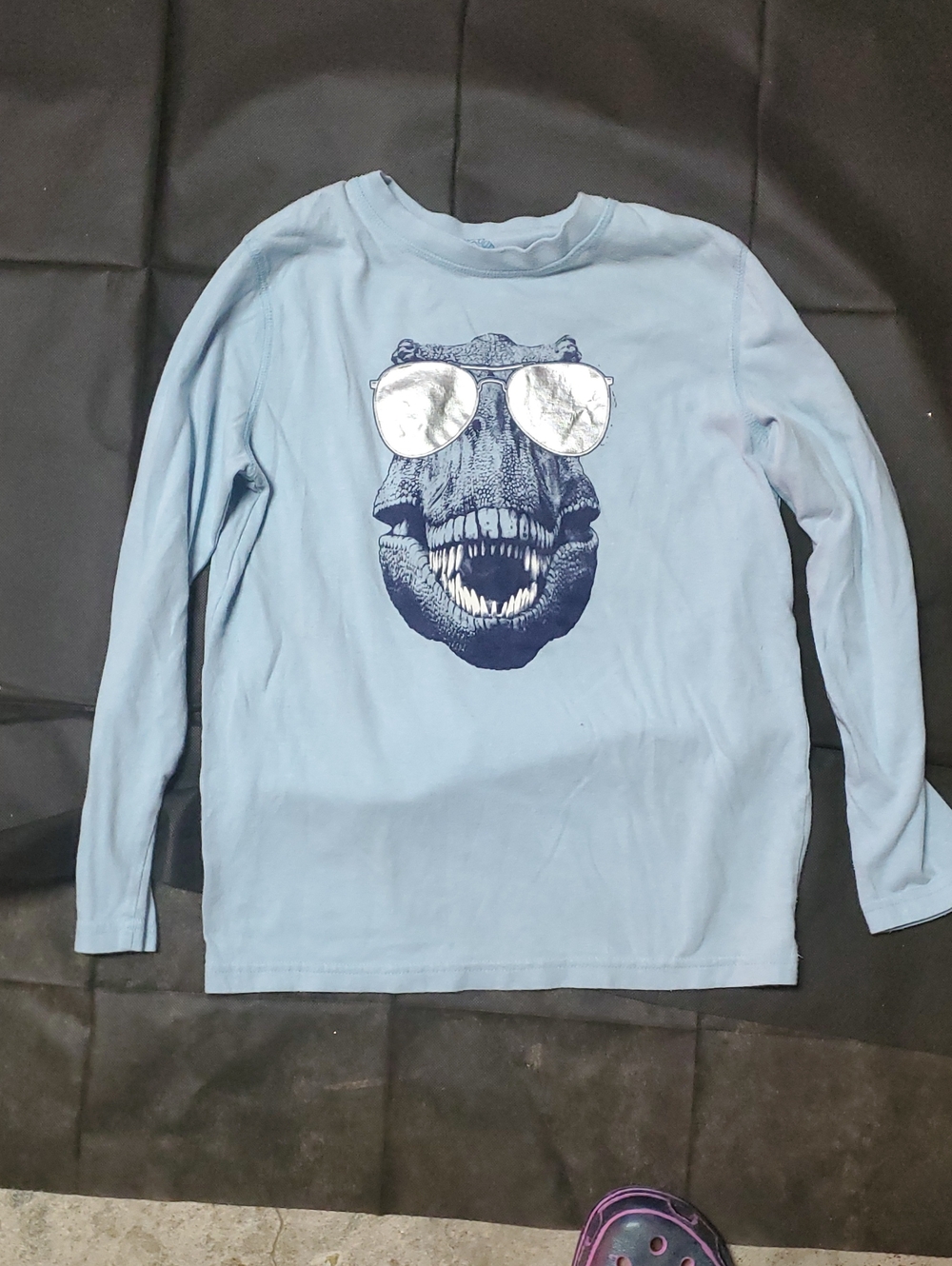Kids Light Blue Long-Sleeve Dino Graphic Tee